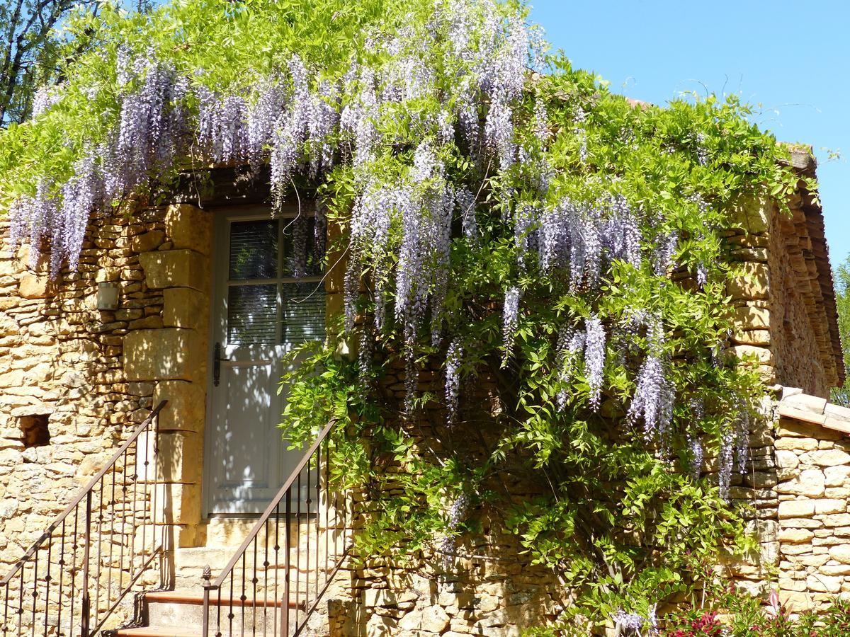 Chambres D'Hotes Les Boudines Saint-Germain-de-Belves ห้อง รูปภาพ
