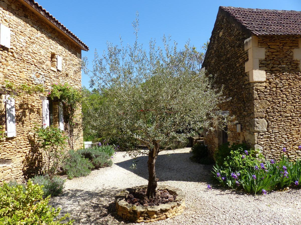 Chambres D'Hotes Les Boudines Saint-Germain-de-Belves ภายนอก รูปภาพ